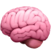 Section Icon
